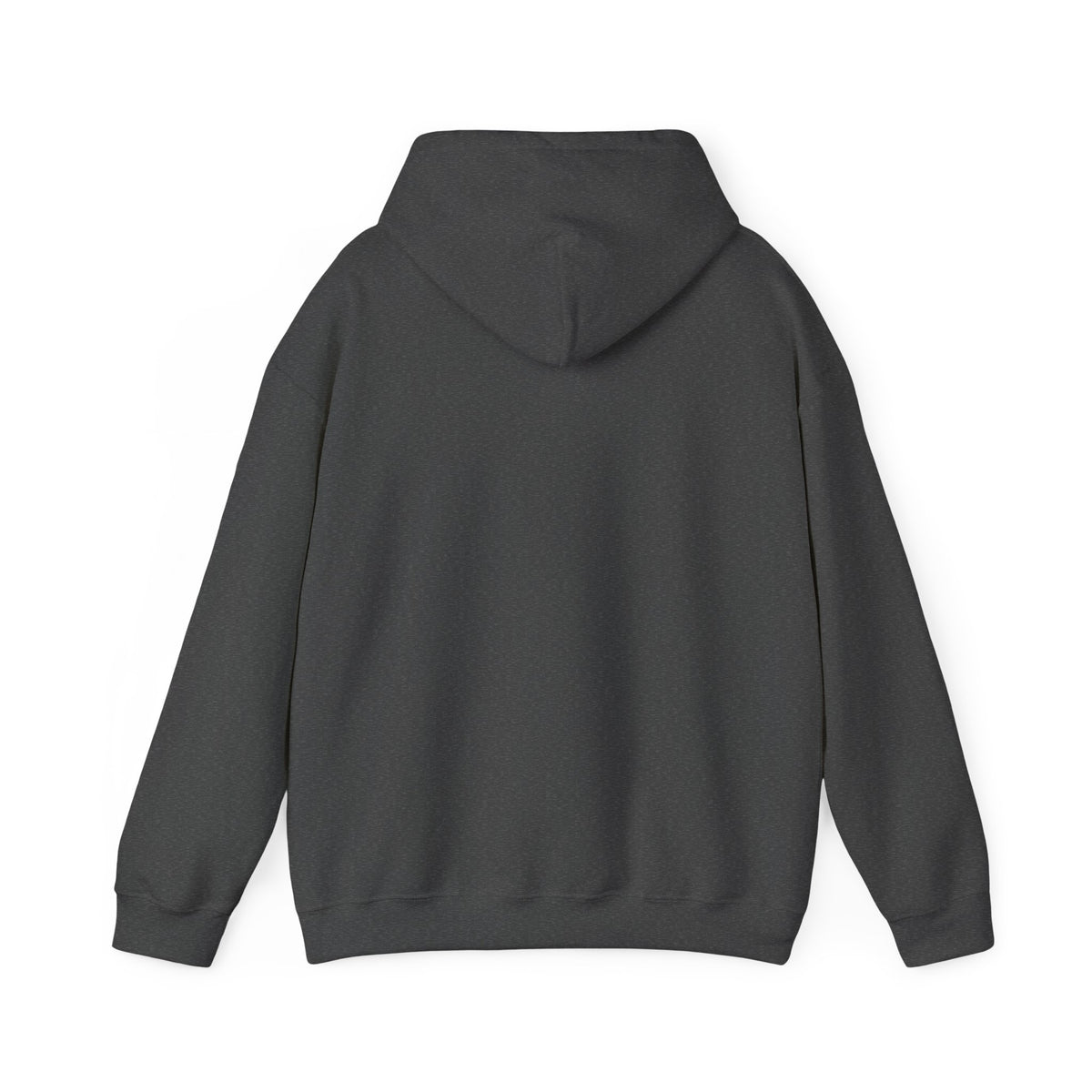 Dear Santa I Can Explain Hoodie, Funny Christmas Dark Colored Sweatshirt