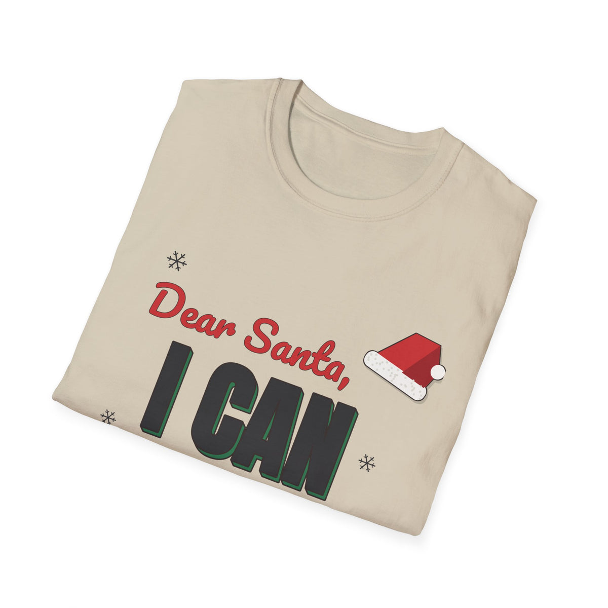 Dear Santa I Can Explain Shirt, Funny Christmas Tee