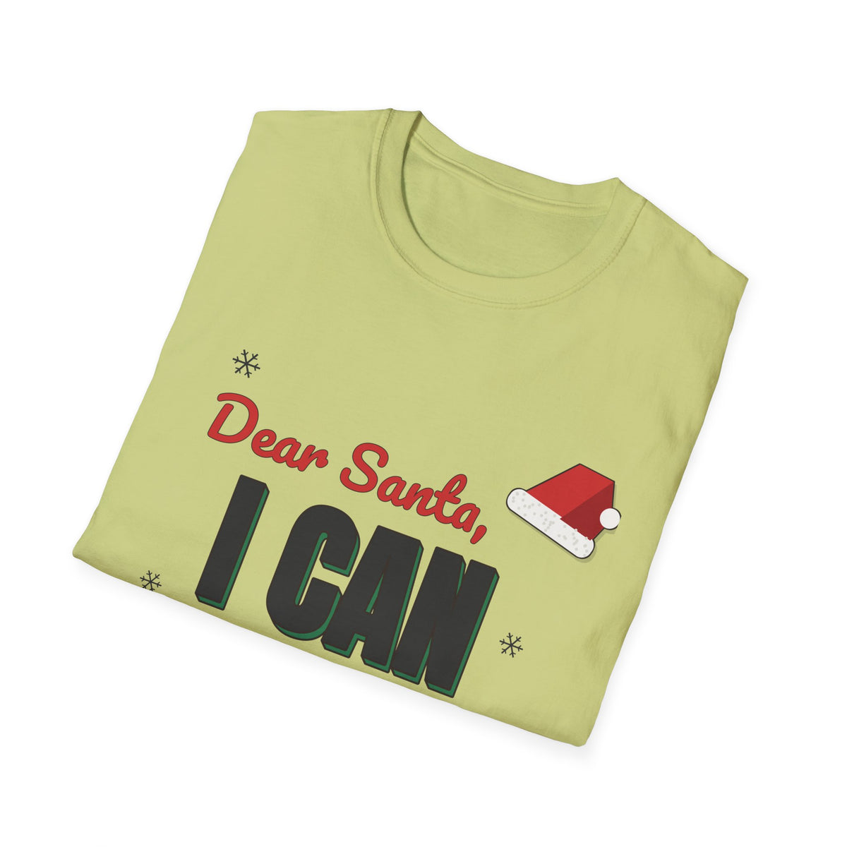 Dear Santa I Can Explain Shirt, Funny Christmas Tee
