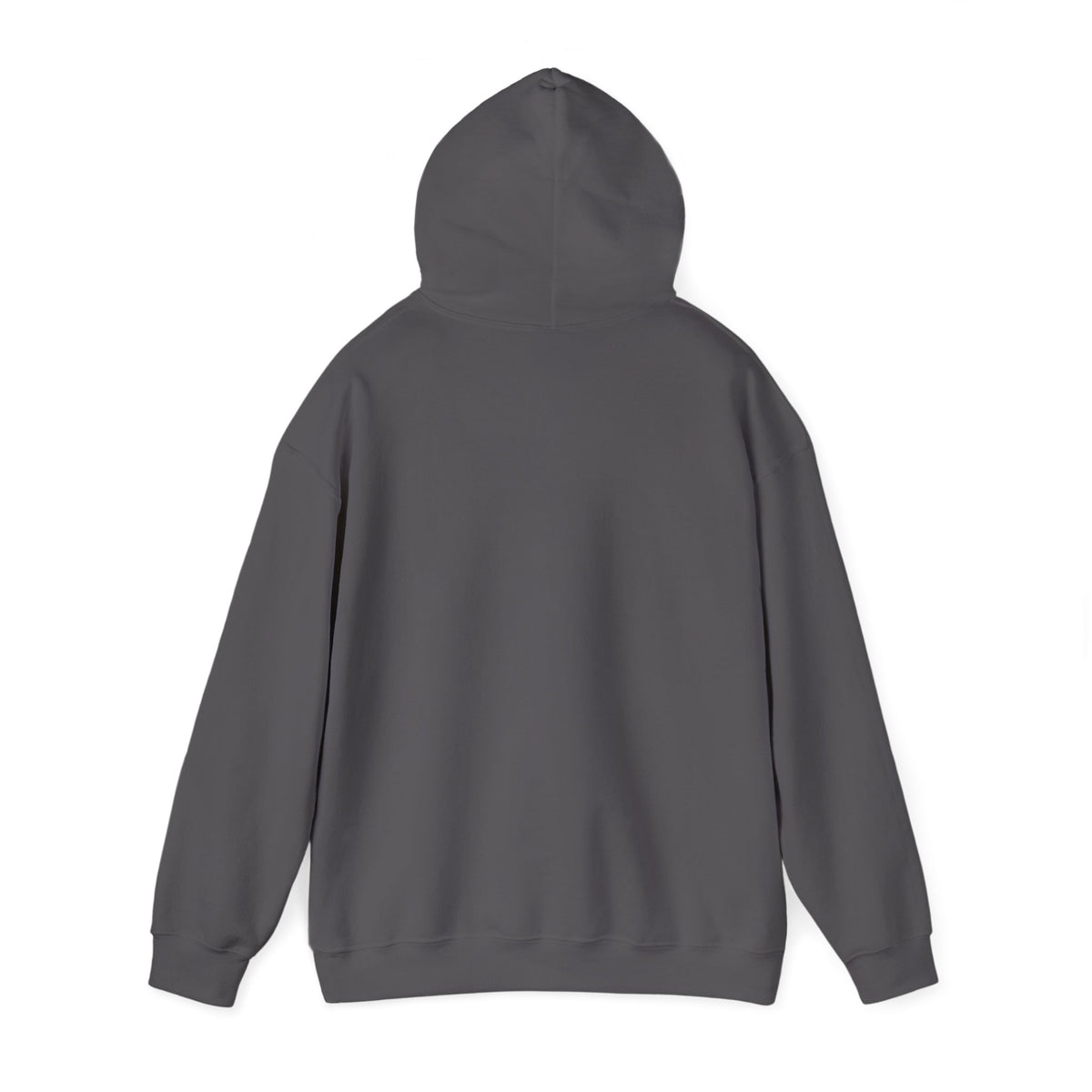 Dear Santa I Can Explain Hoodie, Funny Christmas Dark Colored Sweatshirt
